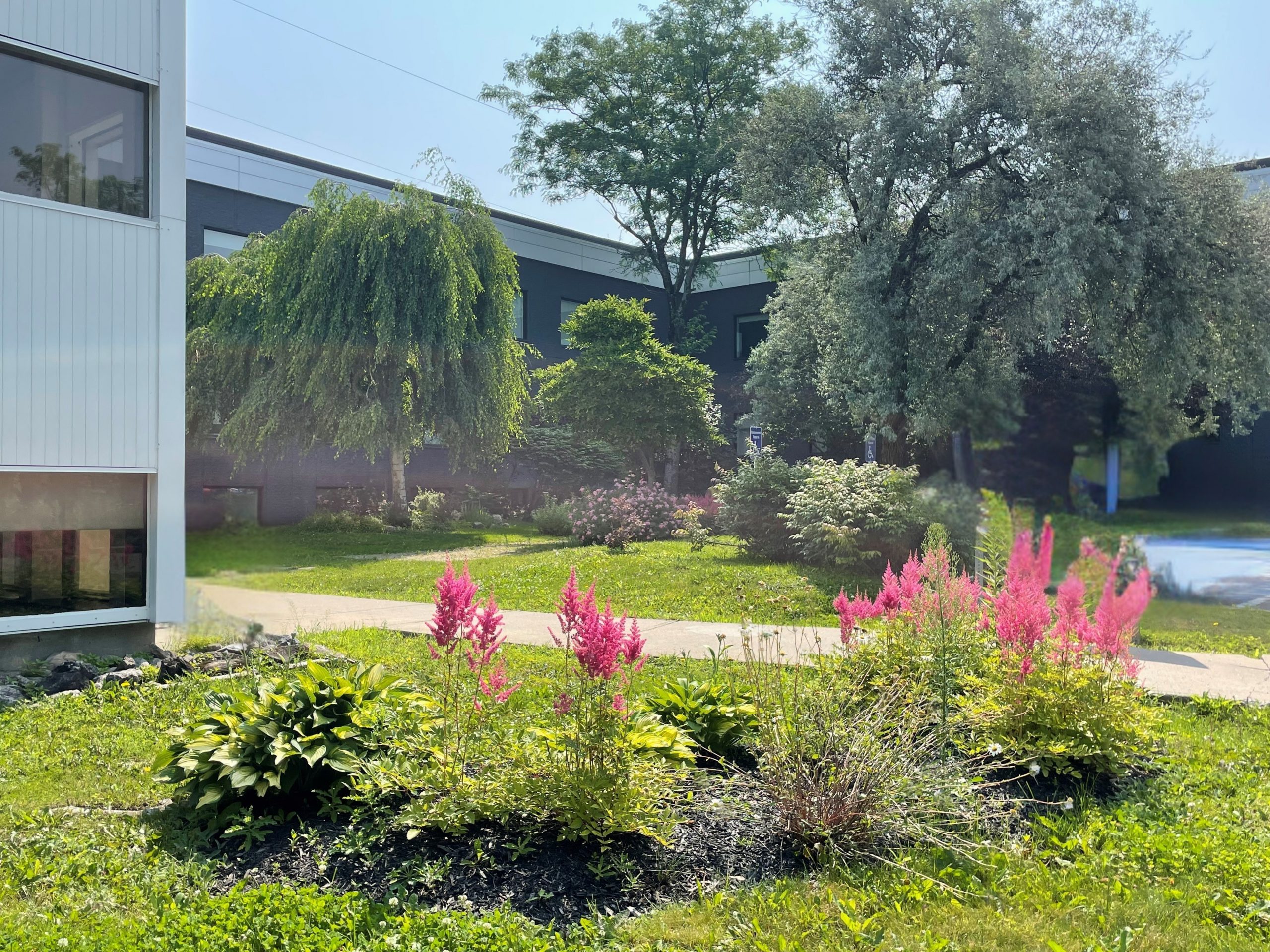 Le 4655, boulevard Wilfrid-Hamel - Immeubles Simard