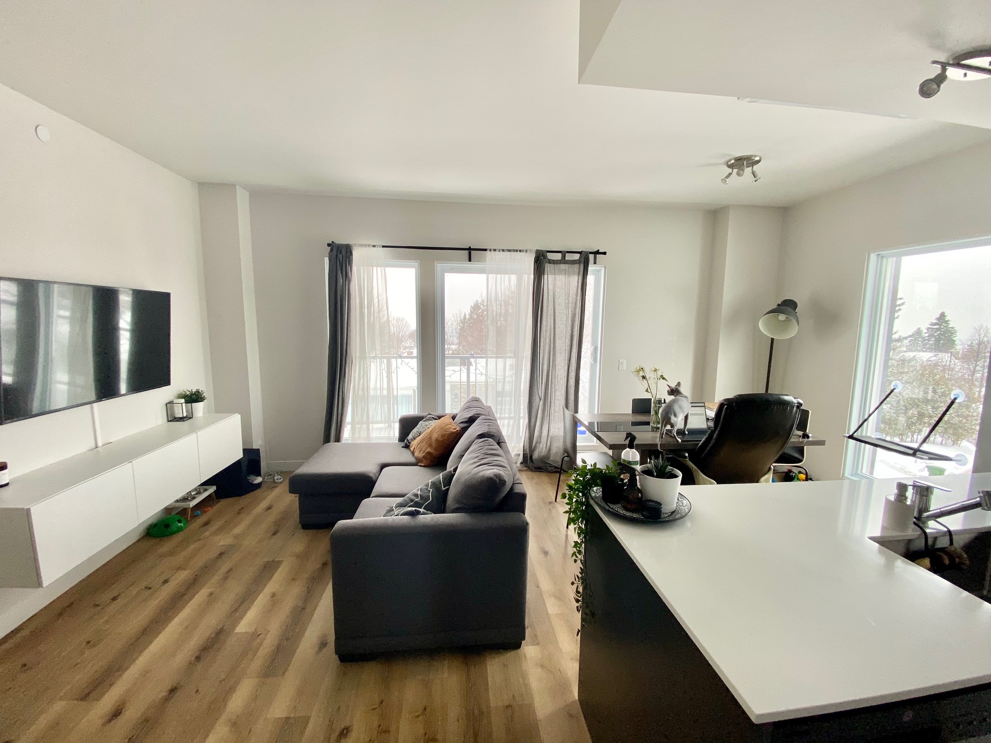 Trilogia-208 4 1/2 Juillet 2026. - Immeubles Simard