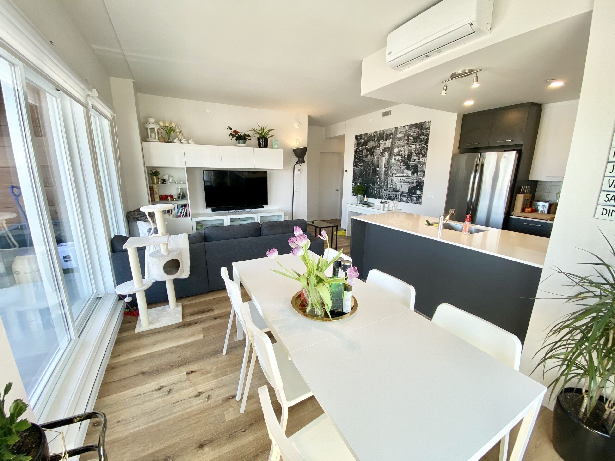 Trilogia-310 4 1/2 Juillet 2026 - Immeubles Simard