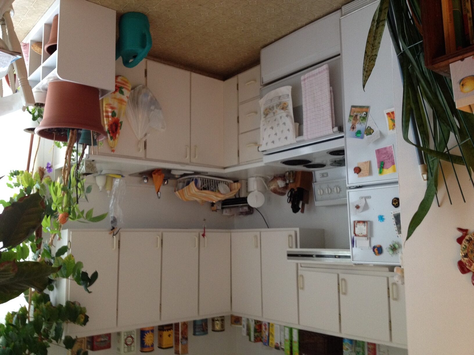 1276-25 Chanoine-Morel - Immeubles Simard